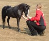 charger and  michele