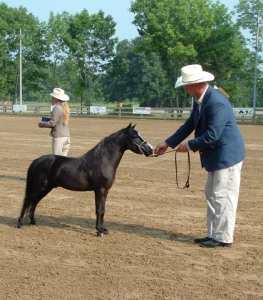 charger and bill