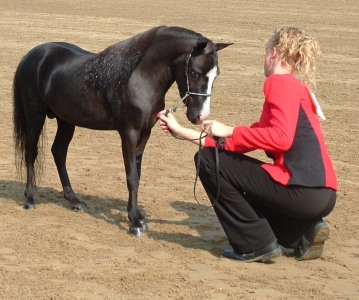 charger and  michele